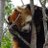 FUMILOUS's profile image