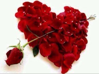 U1ATirExxS1IhD4's profile picture. 