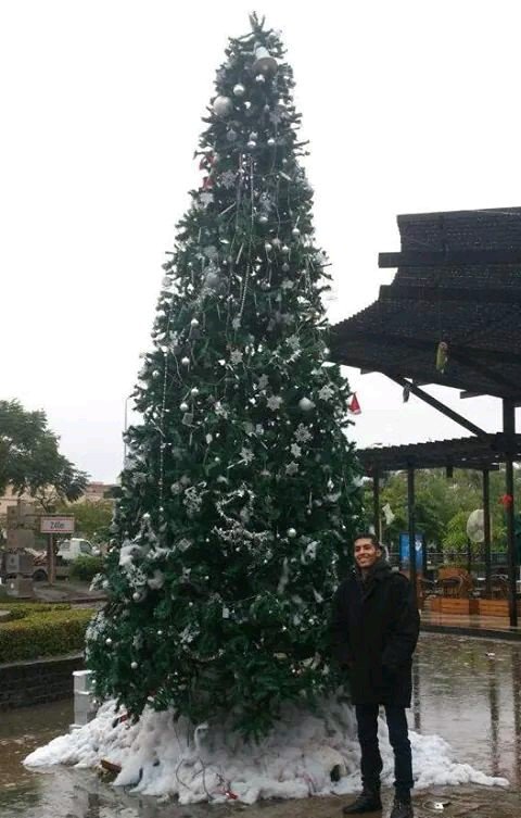 ali86117's profile picture. 