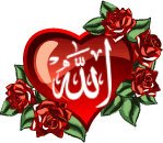 PIN:2B428F31