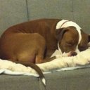 walcoltt Patrick Joy - @Pink1Applesplo - Twitter