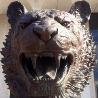 Matthew Smith (@tigermattsmith) 's Twitter Profile
