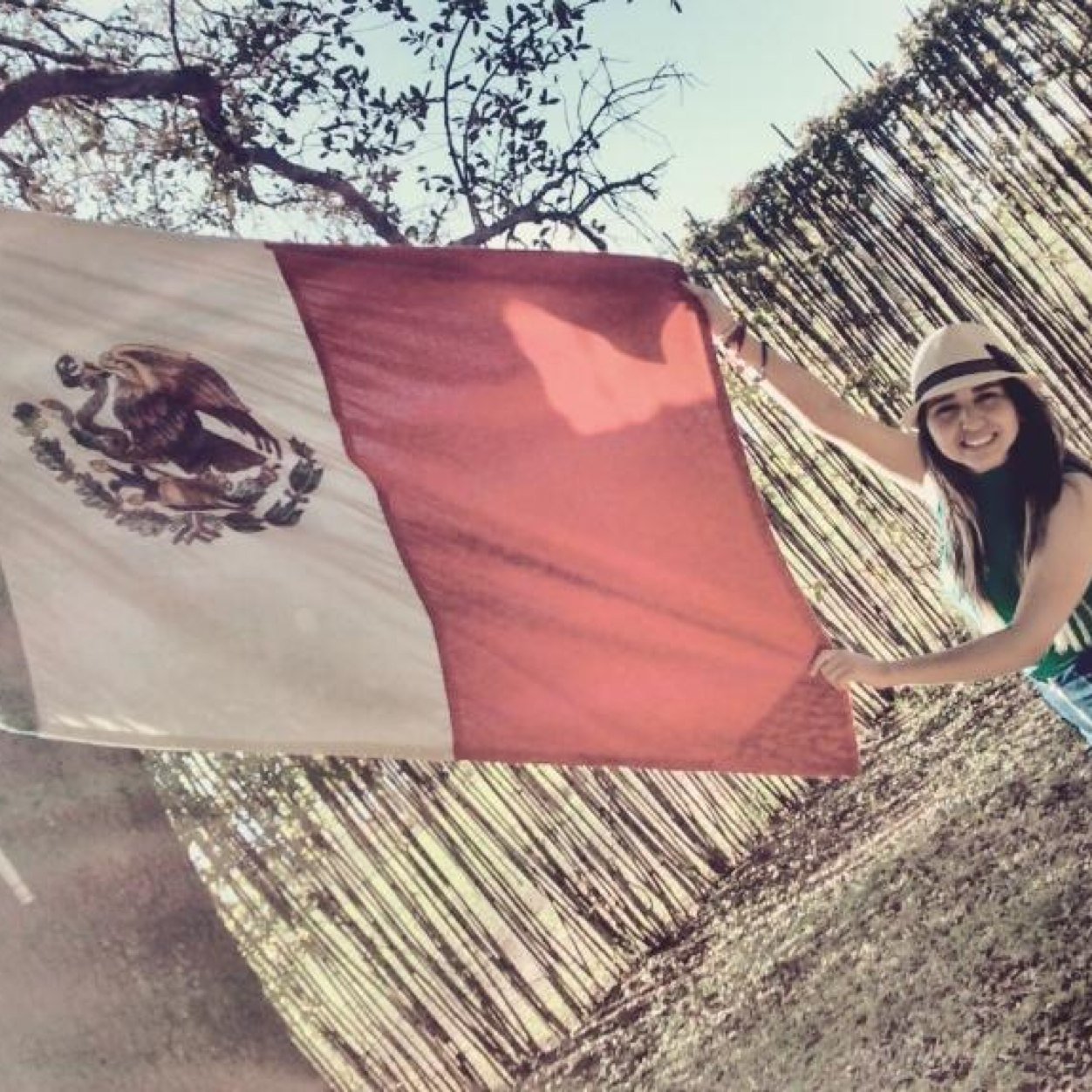 roxroxy8's profile picture. Amo profundamente mi país