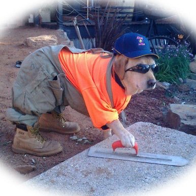 BackStench's profile picture. i know u are but what are u (deep wisdom)