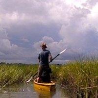 CincHayes's profile picture. I'm a mixed media artists based in Chapel Hill. Shows for 2016: Measurement Building in Durham Feb, Bond Park in Cary March & April, Urban Reality July & Aug.