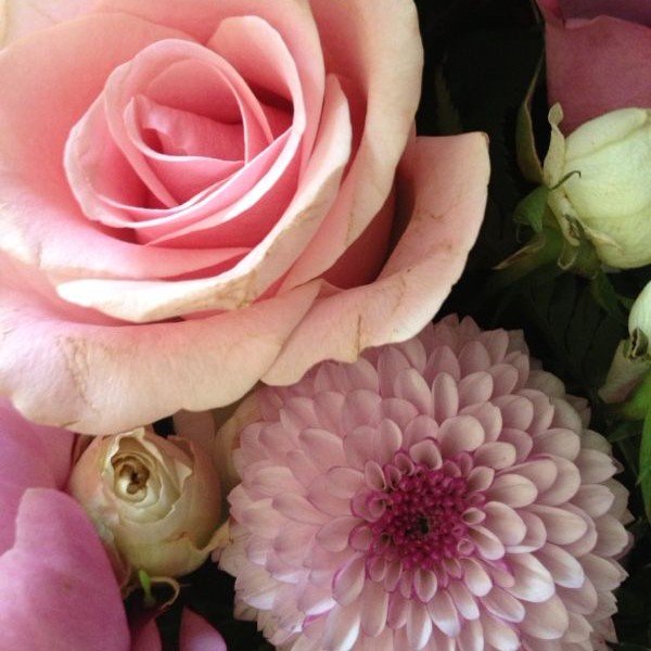 drm1108's profile picture.