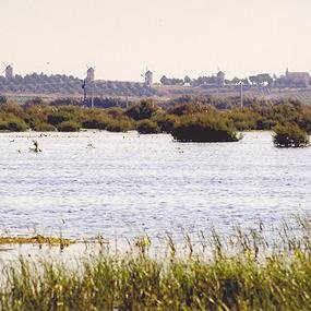 Una de las reservas ornitológicas más singulares y destacadas de la comarca de La Mancha.