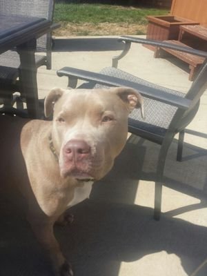 jhonecker1024's profile picture. have MS for 29 yrs