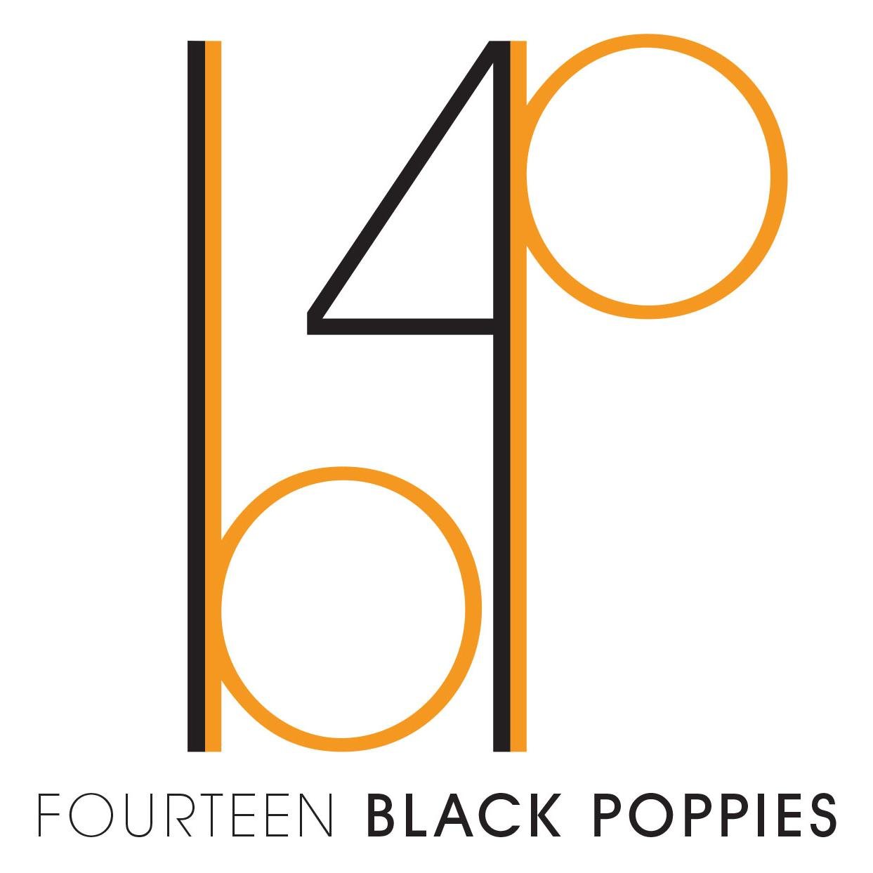 14 Black Poppies cultivates community, arts, and wellness by producing events that shine a light on local talents.