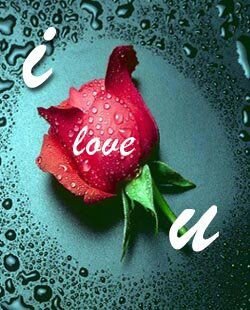 ‏‏‏سبحان اللة