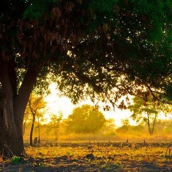 SaveOurWorld2's profile picture. Tweets about good things happening in the world. The difference to the normal News is, here are you informed about good things! 3-5 Tweets per Week. :)