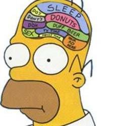 Science and Psychology lover. Posting related tweets. Follow me for great life related tweets!
