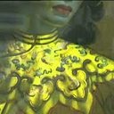 claudette howell - @greenladyenergy - Twitter