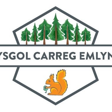 Ysgol Carreg Emlyn Profile