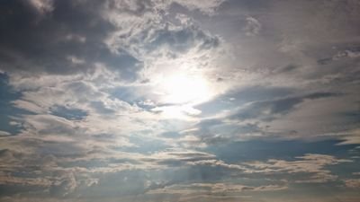 ellierose75's profile picture. 