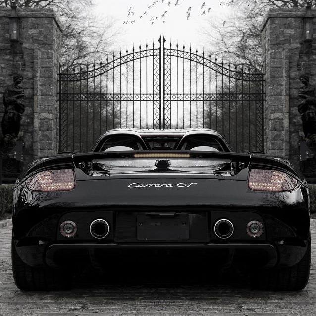 alvanec's profile picture. 