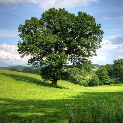 consulting green & social entrepreneurs | activist for more empathy | photographer | world traveler
