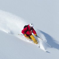 UpGuides (@up_guides) 's Twitter Profile