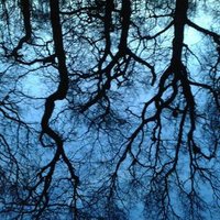 Iain Macleod (@macadedoodah) 's Twitter Profile