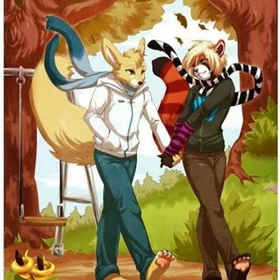 I am lightningfang! my other account is @swaggy_firestar follow mehhhh 030 lightningfang: she-cat, mate:none