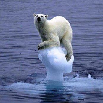 H 55 ans . PROTECTION ANIMALE