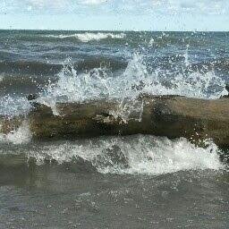 kathwisch's profile picture. 