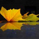 Sandi Wasserman - @sandiso32943460 - Twitter