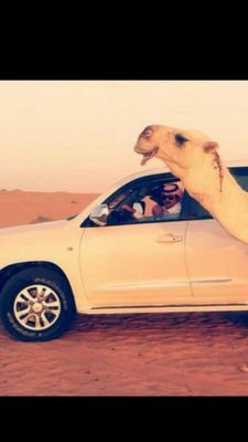 احب الشعر