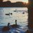 Rsht__36RR's profile image