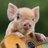 veganos_mx's profile image