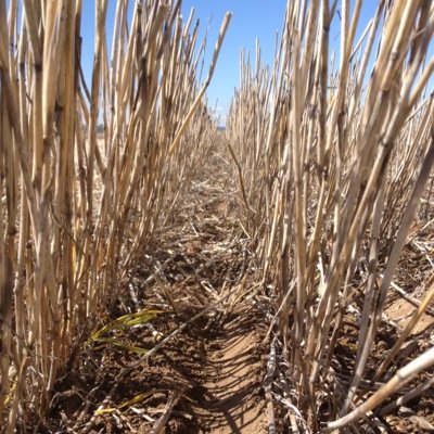 Derek Ingold Profile