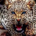 محمد ع قحطاني (@056m7md1) Twitter