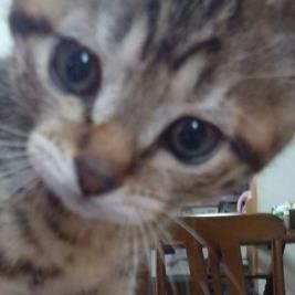 kuro_ba_'s profile picture. 音楽、モニター、子育て、お仕事
楽しんでいます♡