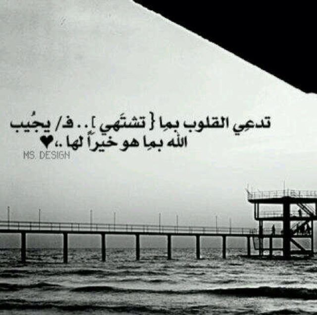 MtaktekaBlogs's profile picture. 