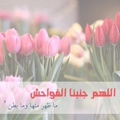 استغفر الله العظيم واتوب الية