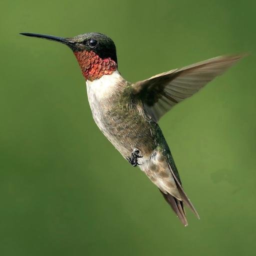 liudanking_'s profile picture. Travel Coder.