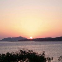 Jorkes (@jorkes0) Twitter profile photo