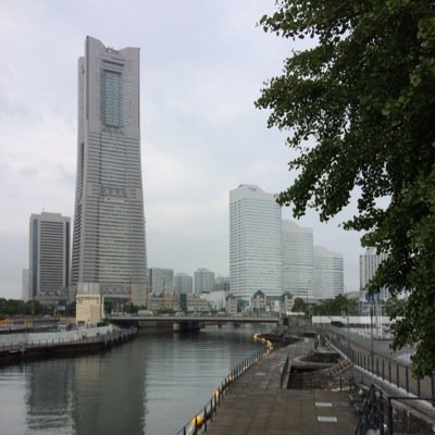 大家兼不動産屋