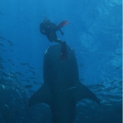 thk83's profile picture. 꼰대 변호사 wanna be 날랄ㅣ