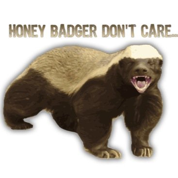 I just don't care