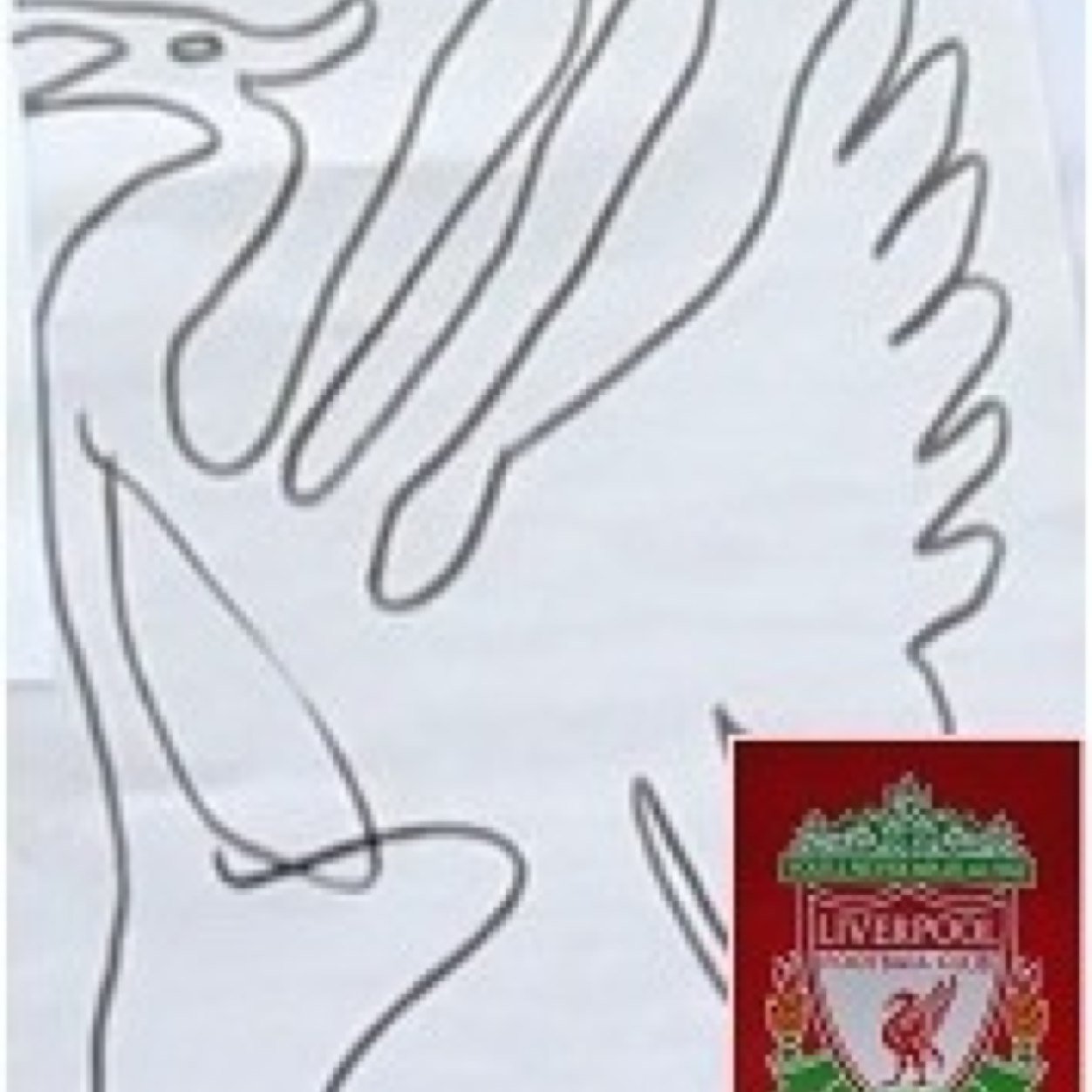 でぃる子。リヴァプール（Liverpool） Gerrard 、Kuyt、Carragher、Alonso 、Forlan 尊敬する人ジョージさん。 パコ・デ・ルシアのギター。 スペイン語と英語勉強中。サッカー写真。リヴァプールファンのみなさんとまったり楽しみたいです。よろしくおねがいします。