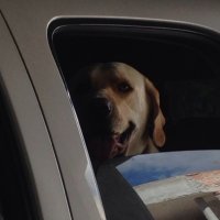 APTYP (@_antart_) 's Twitter Profile