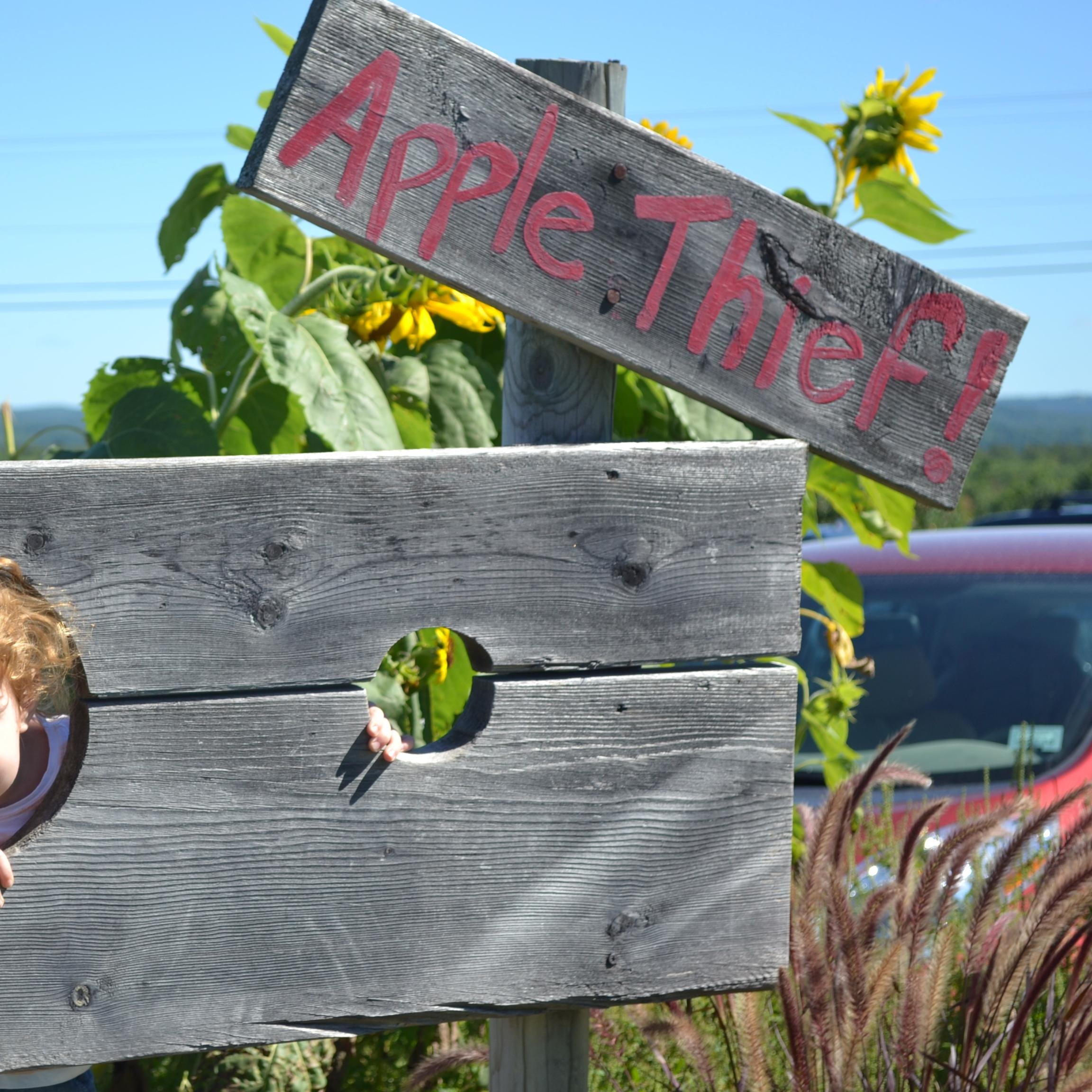#book nerd, comedy fan, #college student by day, mom of the #trifecta by night (aka personal chef, cleaner, storyteller & toy organizer for 3 demanding bosses)
