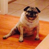 Michelle Navarrete 🌵 (@navarretemi) 's Twitter Profile Photo Michelle Navarrete 🌵 (@navarretemi) 's Twitter Profile Photo