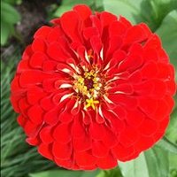 Kasey Healy (@khealy185) 's Twitter Profile Photo