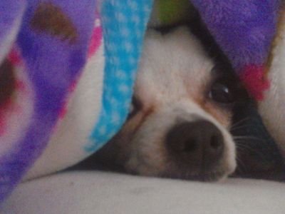 Mrsblats's profile picture. World's oldest Miley Cyrus Fan