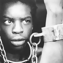 The real Kunta Kinte (Toby)
Not racist, I'm black...