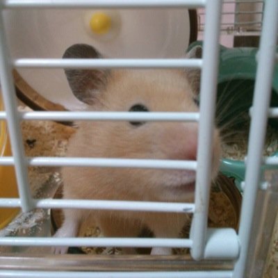 wy08ken04's profile picture. 