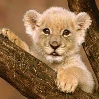 Posting breathtaking images and fun stuff to do in and around Africa. I'm from South Africa myself. Follow me :)