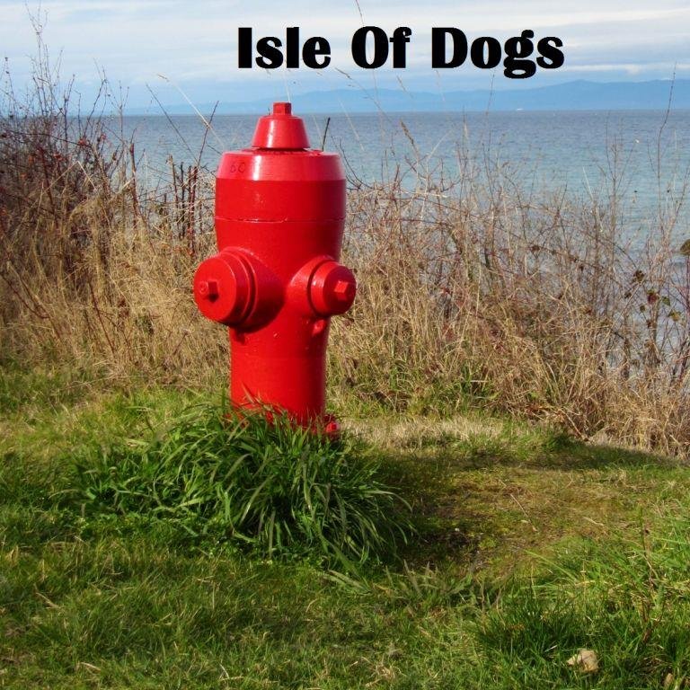 Off-leash adventurer.  A British-Canuck businessman & outdoorsman.